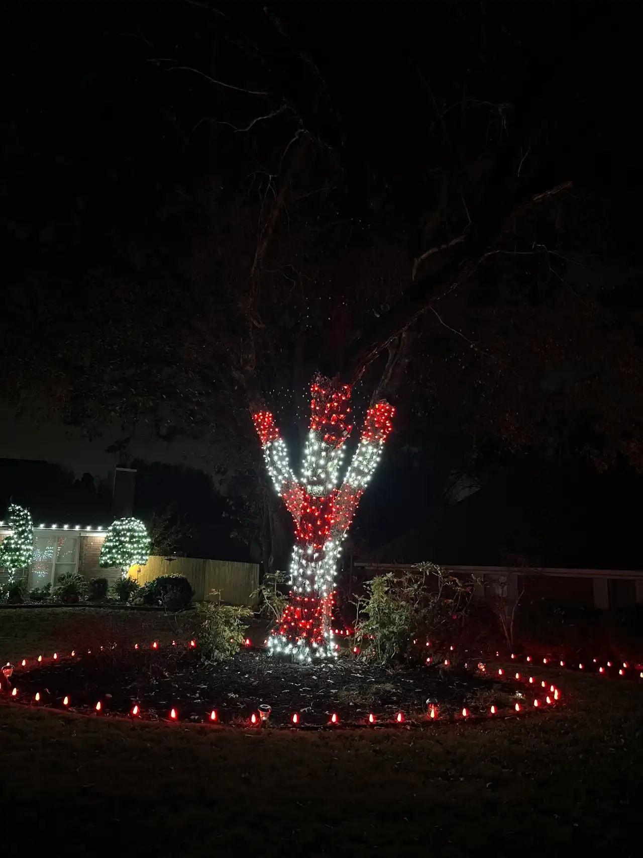 Tree trunk wrapped like a candy cane in red and white lights, ringed by red bed lights
