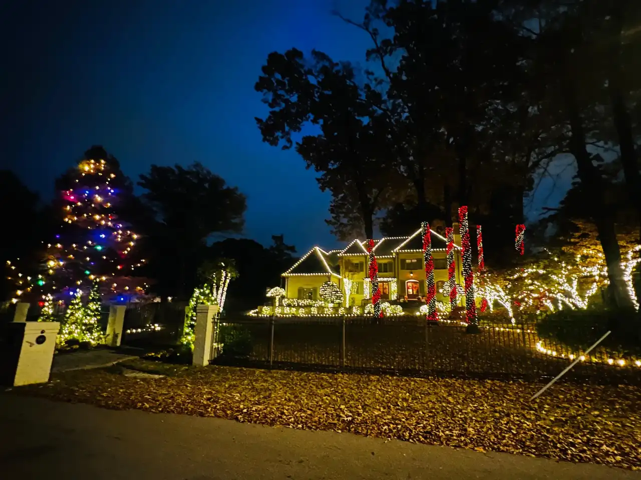 Full-property holiday display at dusk with roofline lights, red-wrapped tree trunks and a multicolor evergreen