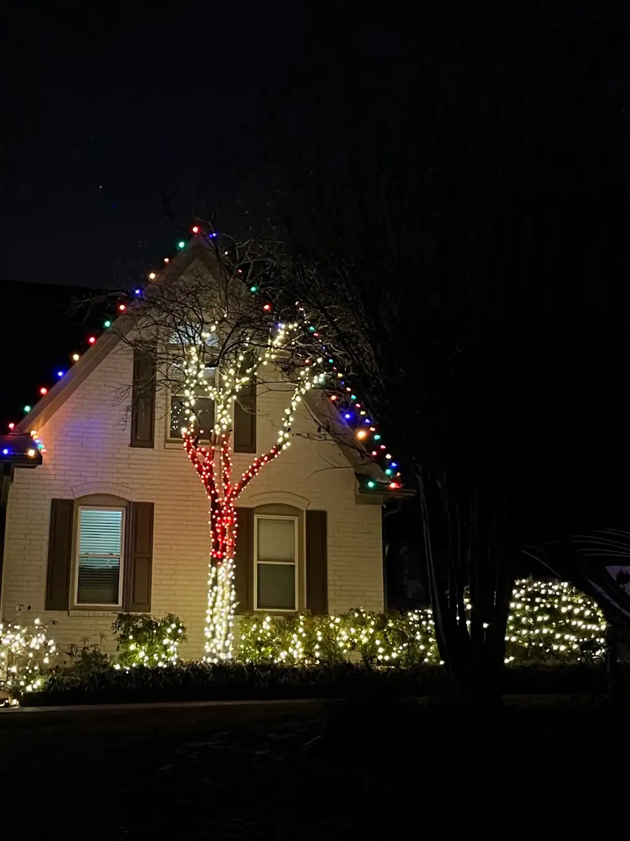 Home with multicolor roofline lights and a tree wrapped in red and white lights