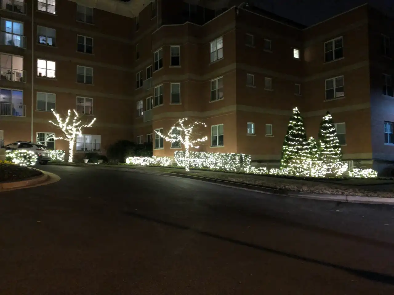 Apartment building grounds with light-wrapped trees, evergreens and hedges at night