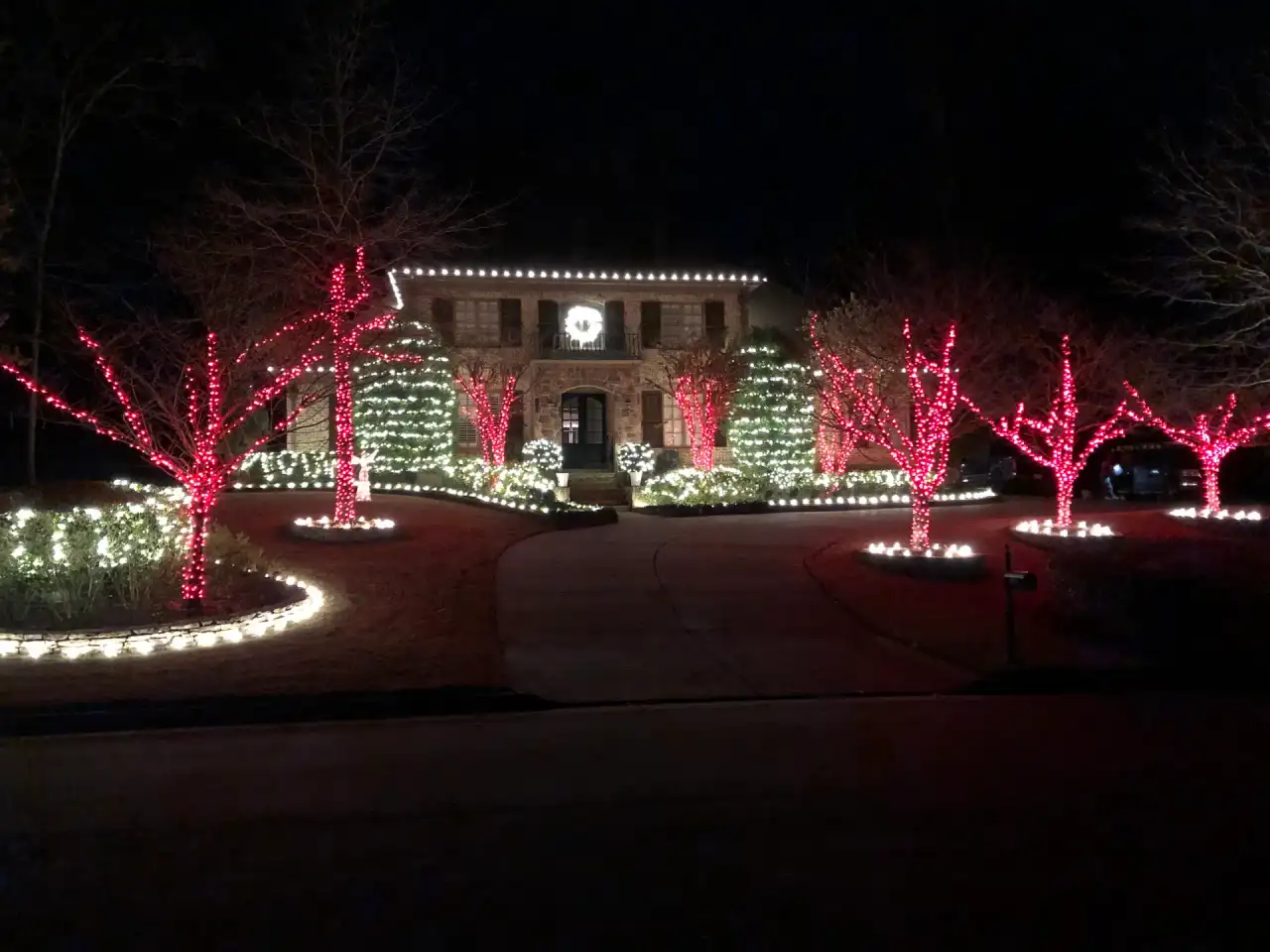 Trees wrapped in red lights and shrubs in white lights along a curved driveway at night