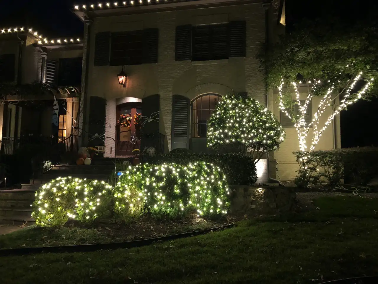 Shrubs and a front-yard tree wrapped in warm white lights beside a home's entry